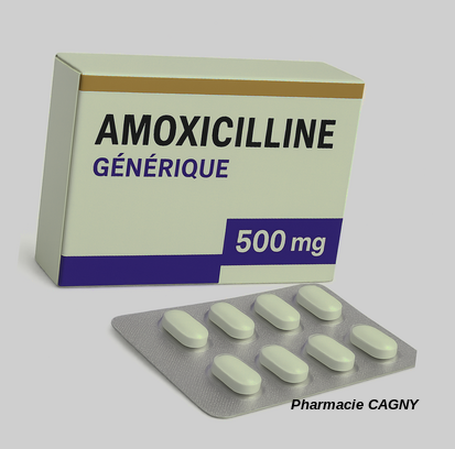 amoxicilline